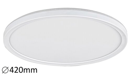 3428.jpg