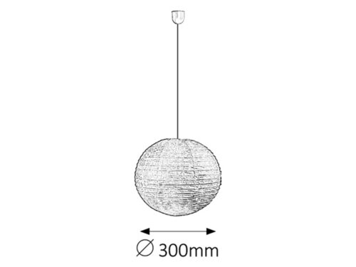 Rice (4894)