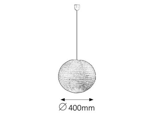 Rice (4898)