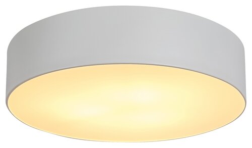 Renata (5083)