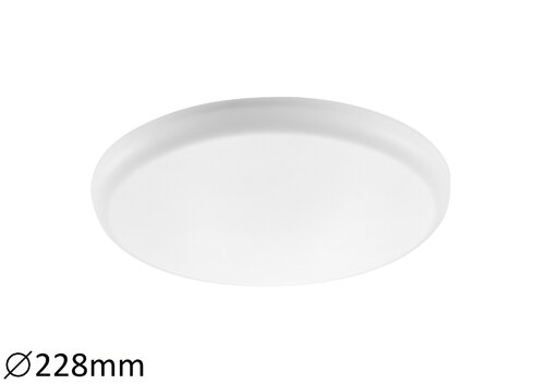 5370.jpg