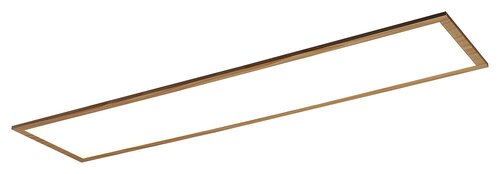 Almond (6909)