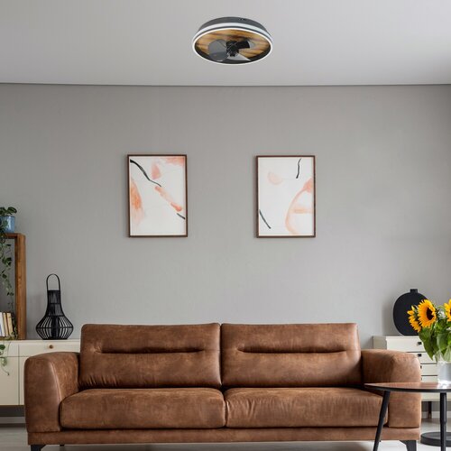 Faustine (71016)