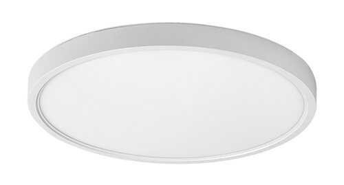 Paulos (71073)