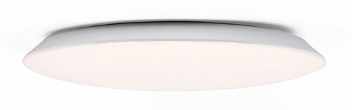 Rorik (71123)