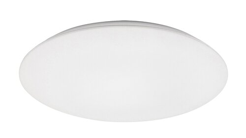 Rorik (71124)