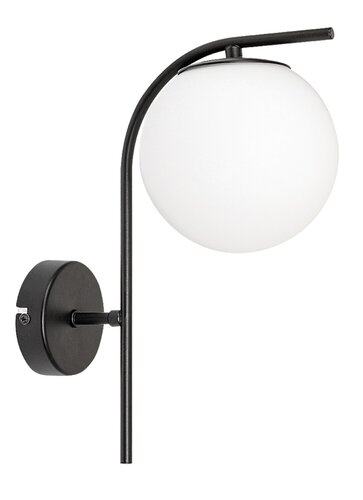 Ghita (71139)