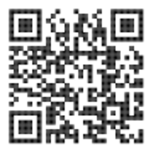 Hafsa (71188)