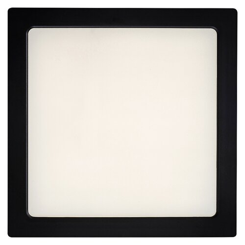 Shaun2 (71203)