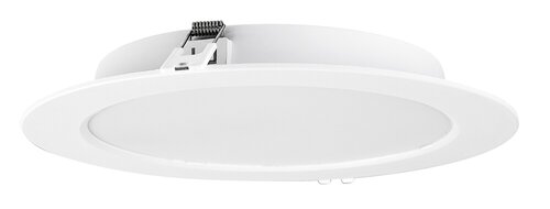 Shaun2 (71235)