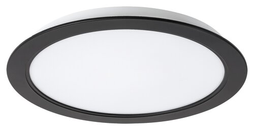 Shaun2 (71240)
