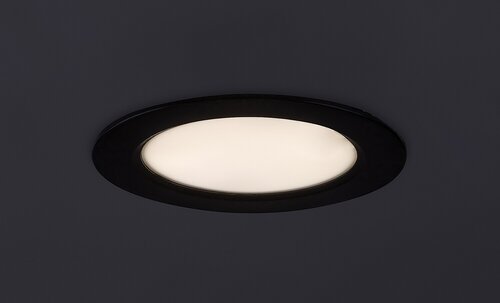 Shaun2 (71241)