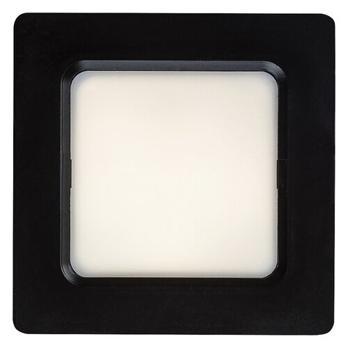 Shaun2 (71262)