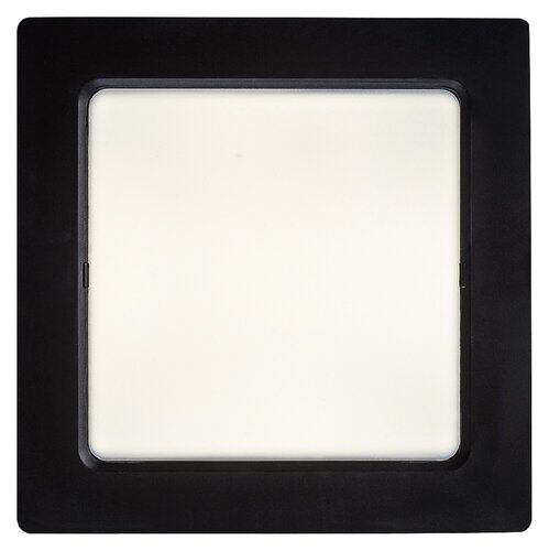 Shaun2 (71264)