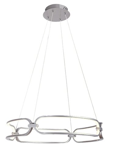 Fringilla (72010)