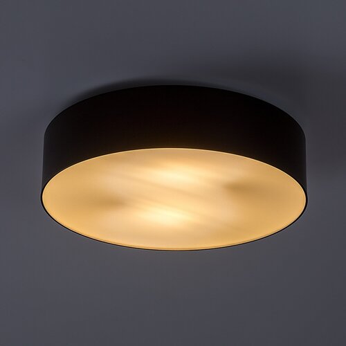 Dolen (75065)