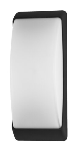 7797.jpg